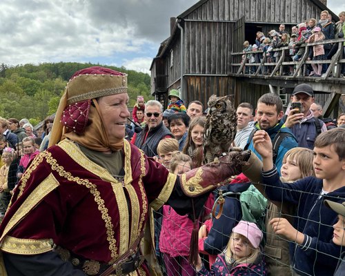 Die Falknerei Horus schlägt beim Museumsfest an der Luisenhütte Balve-Wocklum am 10. Mai ihr Lager auf. Foto: Katharina Buschmann/ Märkischer Kreis