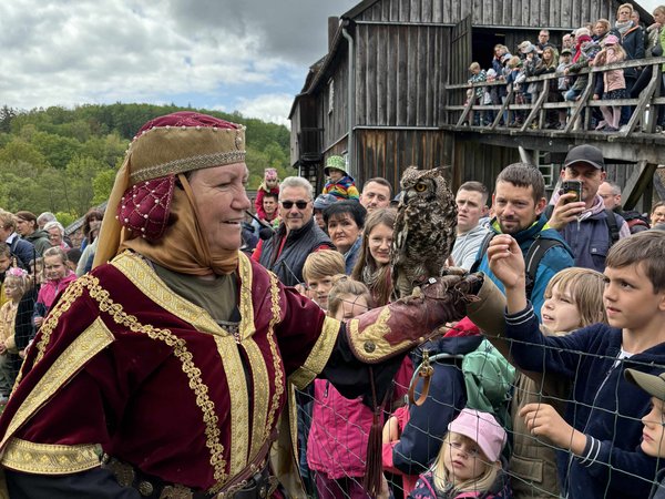 Die Falknerei Horus schlägt beim Museumsfest an der Luisenhütte Balve-Wocklum am 10. Mai ihr Lager auf. Foto: Katharina Buschmann/ Märkischer Kreis