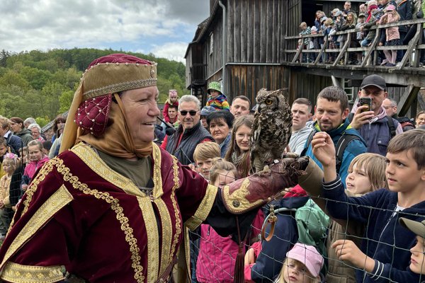 Die Falknerei Horus schlägt beim Museumsfest an der Luisenhütte Balve-Wocklum am 10. Mai ihr Lager auf. Foto: Katharina Buschmann/ Märkischer Kreis