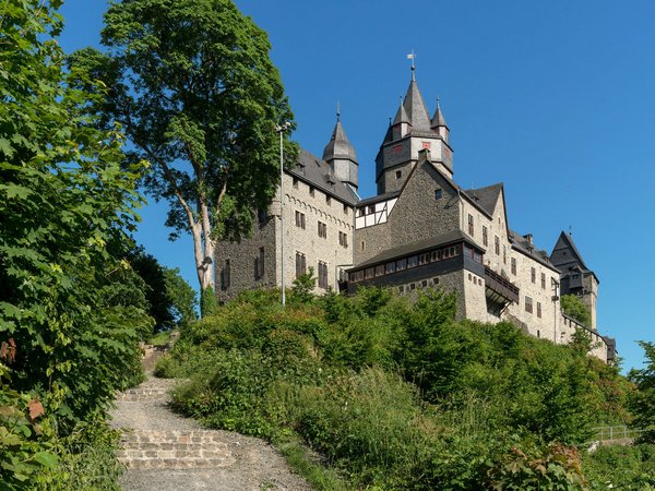Zum Tag der Gärten und Parks am 15. Juni finden an der Burg Altena um 13 und 15 Uhr kostenlose Führungen durch den Weyhe-Park statt. Foto: Stephan Sensen/Märkischer Kreis
