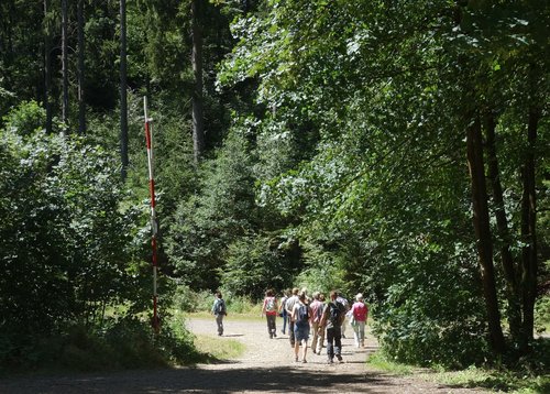 Afrikanische Schweinepest: Kreisveterinäramt sensibilisiert für achtsames Verhalten in Wald und Flur. Foto: Ute Plato/ Märkischer Kreis