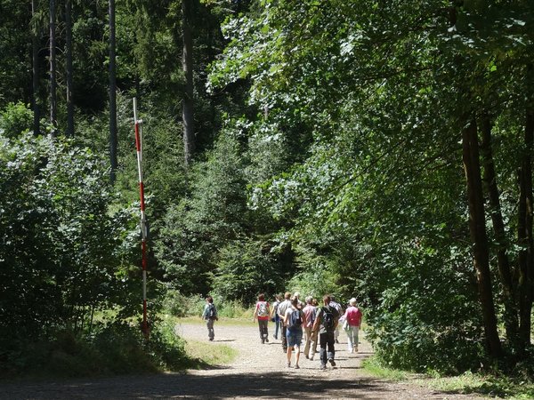 Afrikanische Schweinepest: Kreisveterinäramt sensibilisiert für achtsames Verhalten in Wald und Flur. Foto: Ute Plato/ Märkischer Kreis