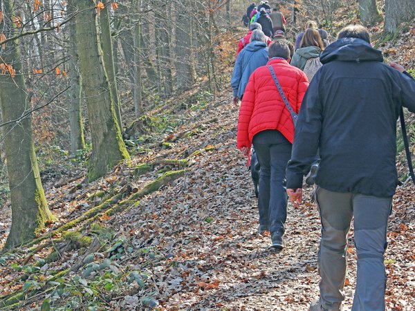 Der Naturpark Sauerland Rothaargebirge lädt zu einer Wanderung mit Naturparkführerin Birgit Stübe ein. Foto: Märkischer Kreis 