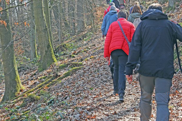 Der Naturpark Sauerland Rothaargebirge lädt zu einer Wanderung mit Naturparkführerin Birgit Stübe ein. Foto: Märkischer Kreis 