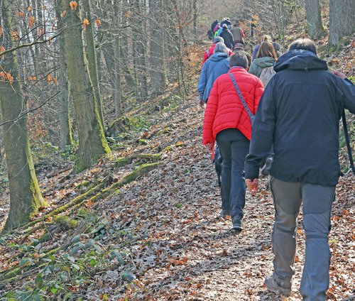 Der Naturpark Sauerland Rothaargebirge lädt zu einer Wanderung mit Naturparkführerin Birgit Stübe ein. Foto: Märkischer Kreis 