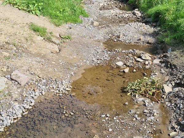 Hitze und Trockenheit machen sich auch an Bächen, Flüssen und Seen im Märkischen Kreis bemerkbar. Die Wasserstände sinken deutlich. Daher hat die Untere Wasserbehörde eine Allgemeinverfügung für ein Wasserentnahmeverbot im Kreisgebiet erlassen. Symbol- Foto: Märkischer Kreis
