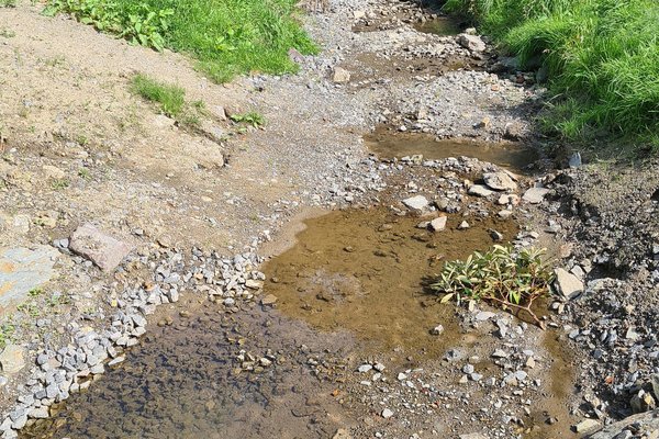 Hitze und Trockenheit machen sich auch an Bächen, Flüssen und Seen im Märkischen Kreis bemerkbar. Die Wasserstände sinken deutlich. Daher hat die Untere Wasserbehörde eine Allgemeinverfügung für ein Wasserentnahmeverbot im Kreisgebiet erlassen. Symbol- Foto: Märkischer Kreis