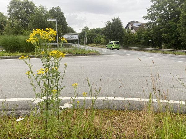Die Kreisstraße 12 in Balve wird ab Montag, 8. Juli, auf einer Länge von etwa 150 Meter saniert. Die Arbeiten finden im Kreuzungsbereich Garbecker Straße / Am Krumpaul statt. Foto: Alexander Bange / Märkischer Kreis