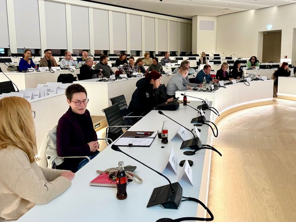 Der Jugendhilfeausschuss des Märkischen Kreises hat sich am 18, Dezember im Lüdenscheider Kreishaus konstituiert. Foto: Ulla Erkens/Märkischer Kreis