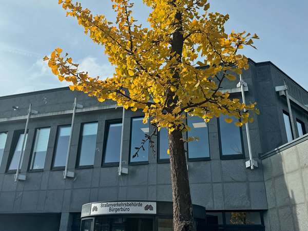 Ansicht Kreishaus Eingang Bürgerbüro