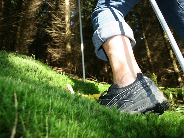 Fitness trifft Natur: Der Naturpark Sauerland Rothaargebirge lädt am Sonntag, 29. März, zu einer sportlichen Wanderung "Rund um Neuenhof" mit dem Naturparkführer Axel Peter Müller ein. Foto: Archiv Märkischer Kreis