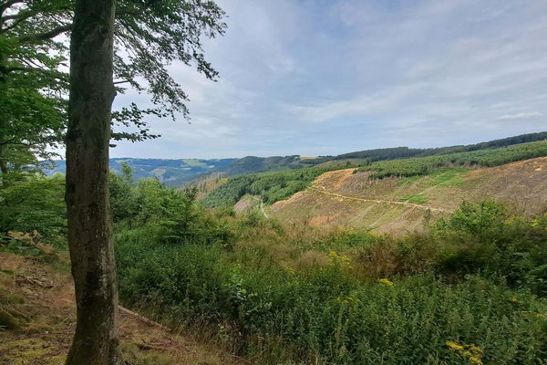 Auf dem Drahthandelsweg eröffnen sich immer wieder herrliche Panoramablicke. Foto: Alexander Neumann