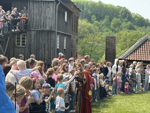Museumsfest in Balve-Wocklum: Viel los war bei der Greifvogelschau. Foto: Alexander Bange / Märkischer Kreis