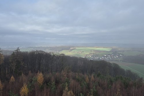 Der Naturpark Sauerland Rothaargebirge lädt am Sonntag, 1. Februar, zu einer Winterwanderung ab Menden-Asbeck ein. Foto: M. Rothhöft/npsr