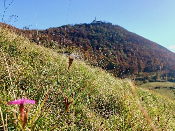 Einen Einblick in das Thema „Resilienz“ bietet Petra Weirauch-Schmachtenbeck in der Jugendbildungsstätte des Märkischen Kreises in Lüdenscheid. Foto: Ness/ Märkischer Kreis