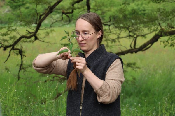 Nicht nur Brennesseln wollen entdeckt werden. Foto: NPSR