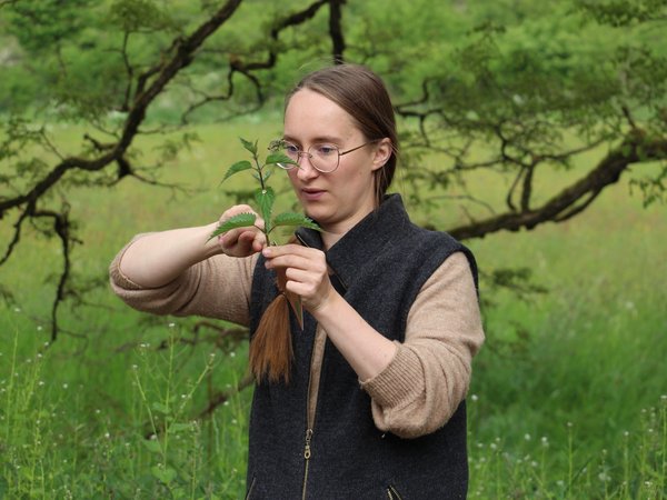 Nicht nur Brennesseln wollen entdeckt werden. Foto: NPSR
