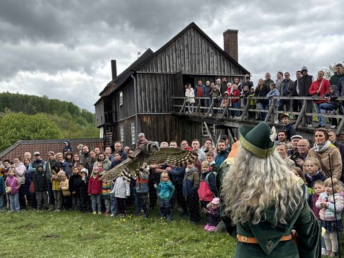Die Flugshow der Horus-Falknerei begeisterte die Besucherinnen und Besucher. Foto: Katharina Buschmann / Märkischer Kreis