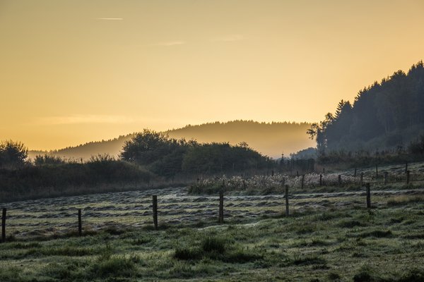 Vorschläge für den Märkischen Heimat-Preis 2025 "Unsere Heimat Märkisches Sauerland" nimmt der Fachdienst Kultur und Tourismus des Märkischen Kreisen bis Ende Juli entgegen. Foto Simone Rein