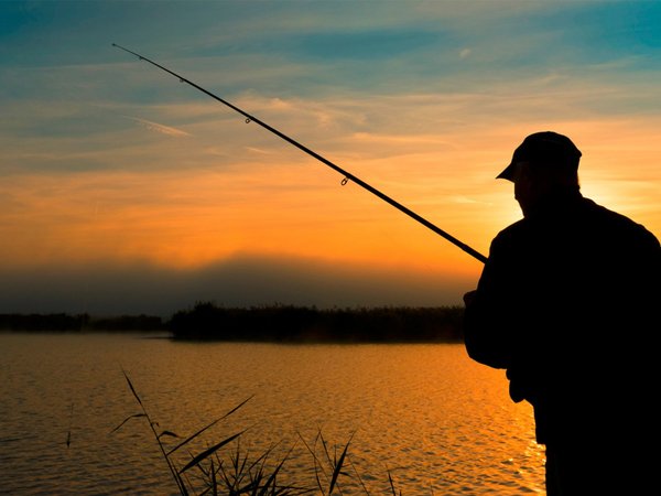 Angler