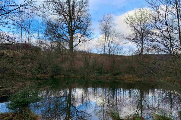 Der Naturpark Sauerland Rothaargebirge lädt zu einer geführten Wanderung durch das Quellental ein. Foto: Astrid Bauriedel
