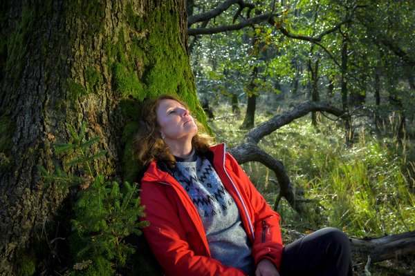 Entspannen, durchatmen, lauschen – der Naturpark Sauerland Rothaargebirge lädt zu einem abendlichen Spaziergang in Hemer ein. Foto: Klaus-Peter Kappest / Sauerland-Tourismus e.V.