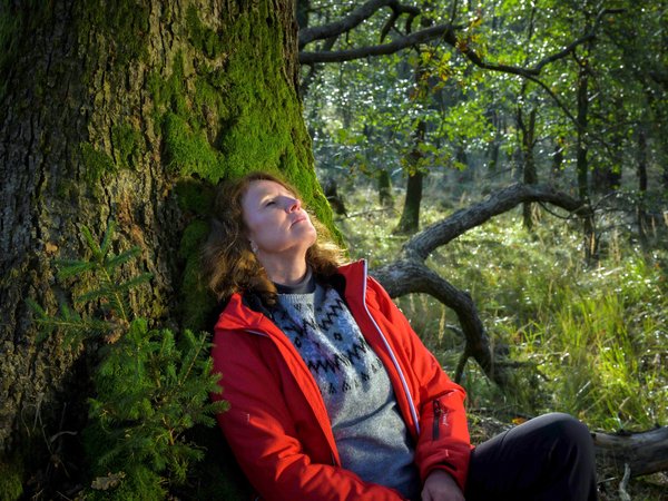 Entspannen, durchatmen, lauschen – der Naturpark Sauerland Rothaargebirge lädt zu einem abendlichen Spaziergang in Hemer ein. Foto: Klaus-Peter Kappest / Sauerland-Tourismus e.V.