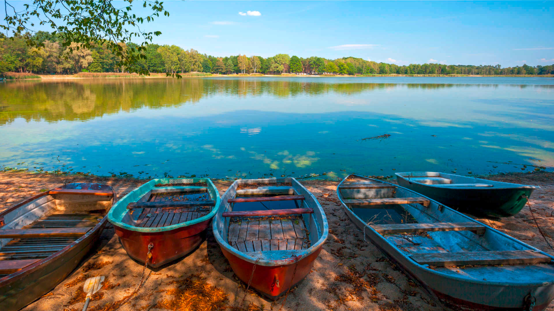 Landkreis Elbe-Elster Boote See